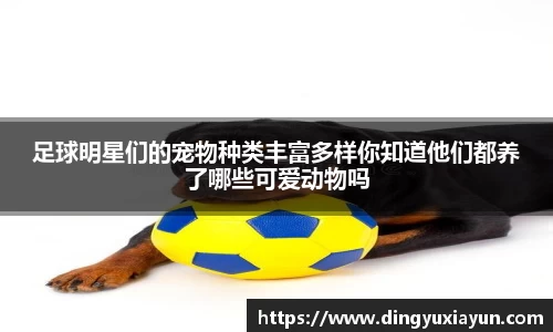 ky开元·(中国)集团官网